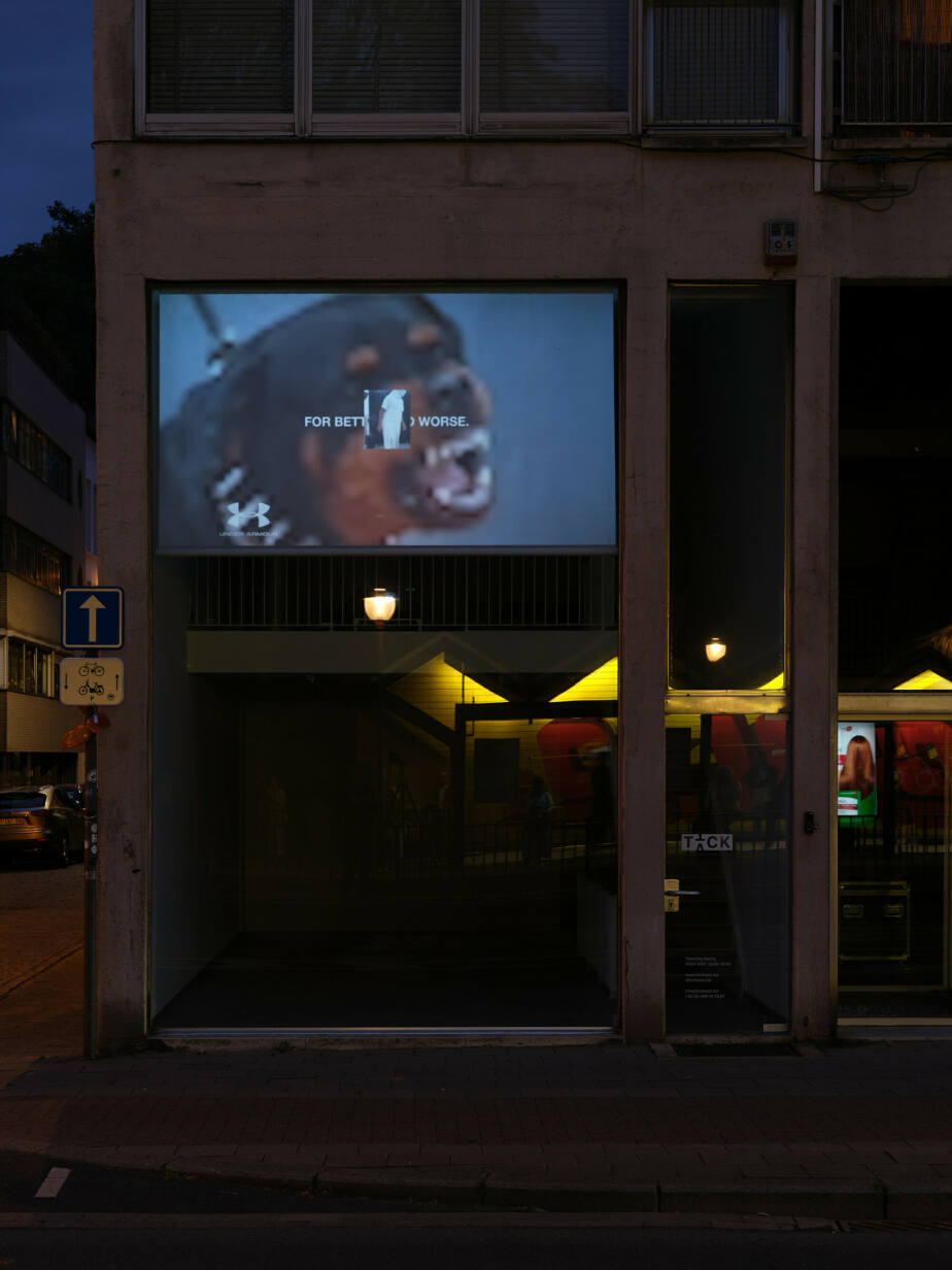 Allen-Golder Carpenter, Black Internet v4 feat. Emmanuel Massillon, 2023-2025, video, sound