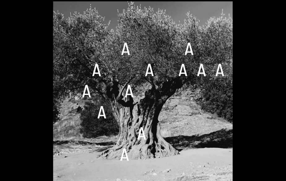 Adam Broomberg + Lena Holzer - History Not Progress