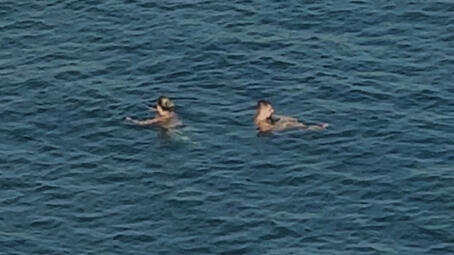 THE (UN)EVENT SIDE A, Linn Phyllis Seeger