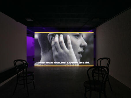 Metahaven - The Feeling Sonnets (Transitional Object) - 2024 - single channel digital film work - ±30 min., loop