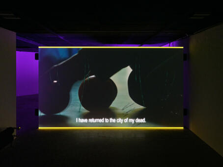 Metahaven - The Feeling Sonnets (Transitional Object) - 2024 - single channel digital film work - ±30 min., loop