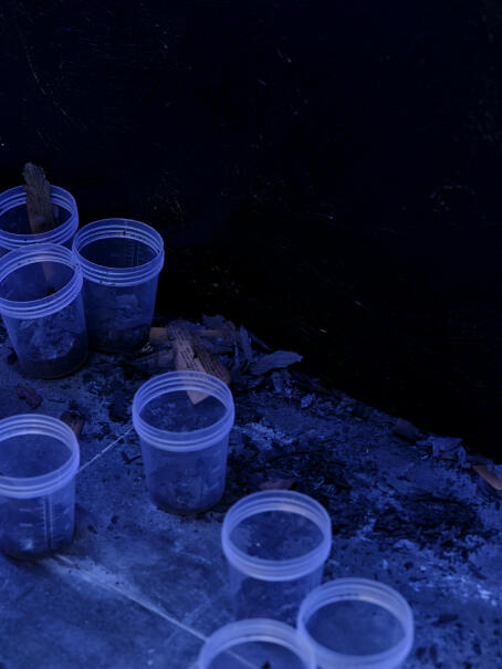 Allen-Golder Carpenter - Free jah morant , 2025 Urine test cups, ash, projector, moving image, gemstones, urine. Spatial installation. Dimensions variable - TICK TACK