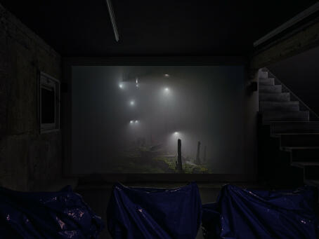 Allen-Golder Carpenter - Sojourn, 2025, Moving image (animation and found footage), 30’10” Edition of 4 plus 2 AP - Courtesy of TICK TACK, Antwerp