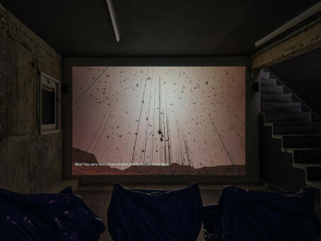 Allen-Golder Carpenter - Sojourn, 2025, Moving image (animation and found footage), 30’10” Edition of 4 plus 2 AP - Courtesy of TICK TACK, Antwerp