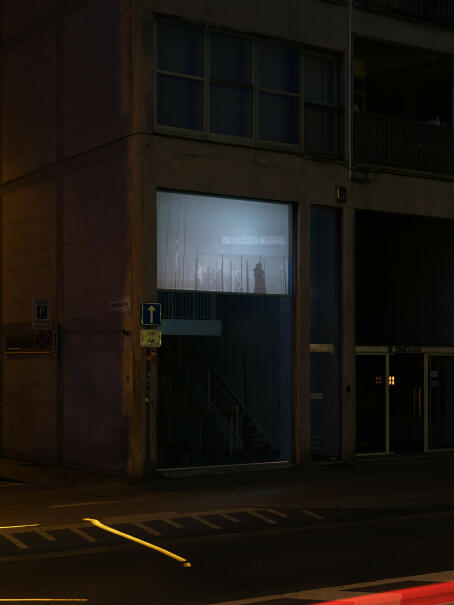 Allen-Golder Carpenter - Sojourn, 2025, Moving image (animation and found footage), 30’10” Edition of 4 plus 2 AP - CINEMA TICK TACK, Antwerp