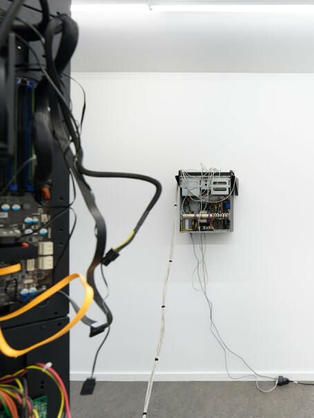 Brennan Wojtyla, LAN, 2025, site specific installation and performance, TICK TACK