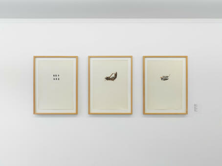 MIKI VAN DER EECKEN, Kever, Merel, Mus, 1977, Etching and aquatint 69 x 49 cm