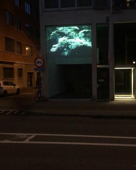 Impressions CINEMA TT. Meggy Rustamova, Light Displacement, 2018. HISK @ TT. #ticktacktime