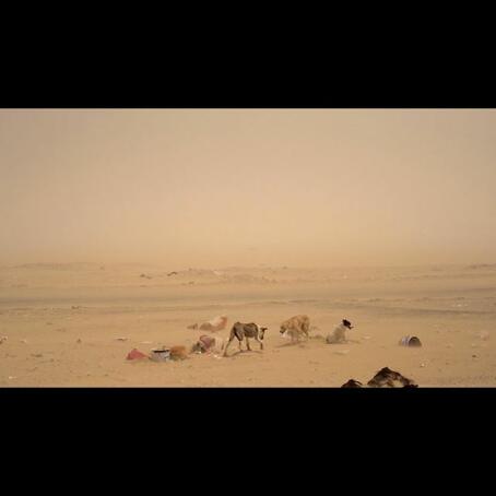 Tonight on CINEMA: Wim Catrysse, MSR, 2012, Single-channel video installation, 14'58'