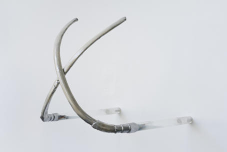Adriano Amaral - Untitled - 2018 - Horse ribs, acrylic tubes etc - Courtesy GRIMM