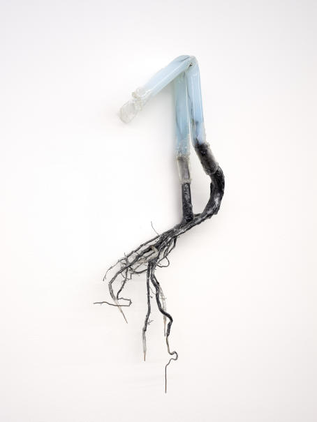 Adriano Amaral - Untitled, 2019 - Acrylic tubes, roots etc - 63x33 cm - Courtesy Jaqueline Martins