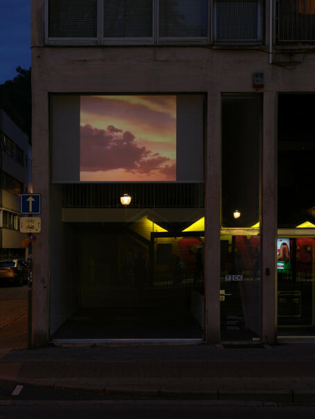Allan Gardner, Indifferent Stars, 2022, video, sound