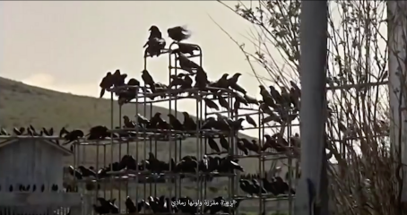 Dima Srouji - Always a Waiting Market (2023)