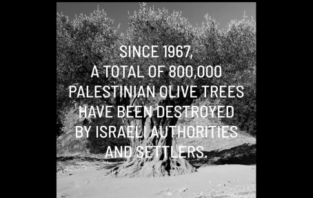 Adam Broomberg + Lena Holzer - History Not Progress