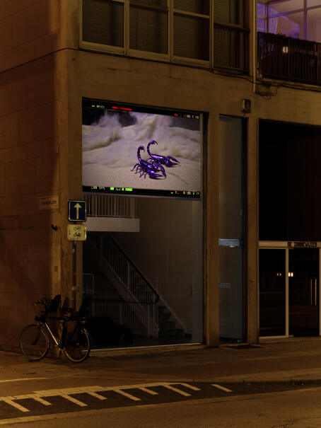 Sybil Montet - Geomancy - 2022 - video still - CGI, live data, AI, poetry, web