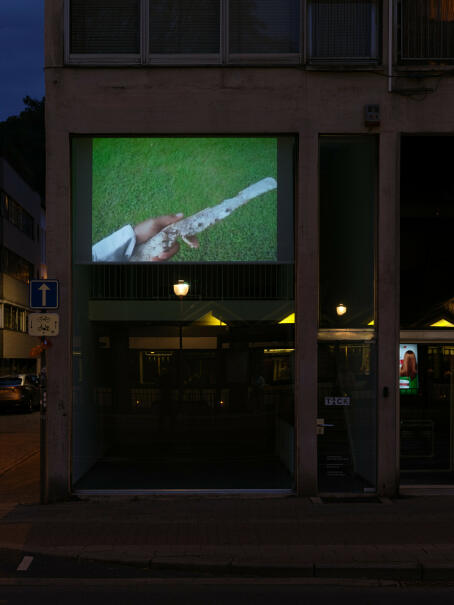 Devin Kenny, Anthroposophic gun, 2009, Single-channel video, color, sound