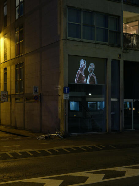 Frank Theys “THE KISS #4”, 2014, Single-screen video installation, 4K 16:9, Color, Silent, 7’04"