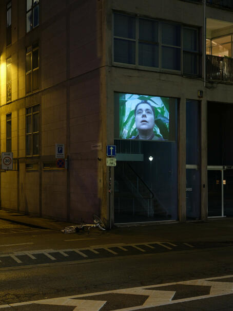 Ria Pacquée, Cantaert Hunter, 2003, DV PAL 4:3  Colour, Non-spoken  3'07"