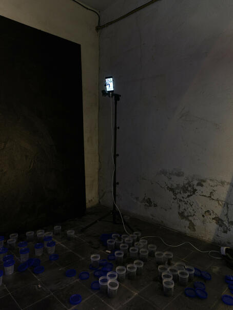 Allen-Golder Carpenter - Sojourn - installation view at TICK TACK