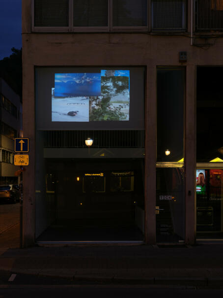 Maltsdisney - neo york - 2025 - CINEMA TICK TACK
