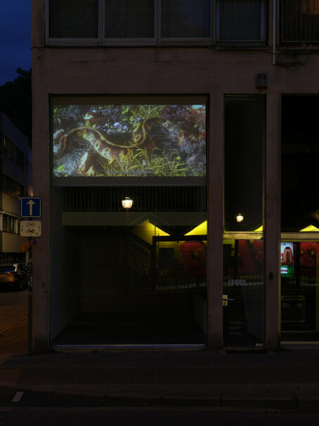 Sybil Montet - Geomancy - 2024 - video still - CGI, live data, AI, poetry, web