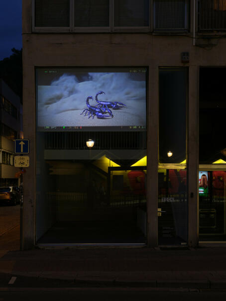 Sybil Montet - Geomancy - 2024 - video still - CGI, live data, AI, poetry, web