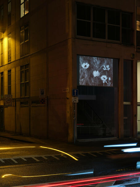 Daryna Mamasiur, Eyelashes and Sand Crystals, 2025, 4’48”, work in progress, excerpt, courtesy of the artist