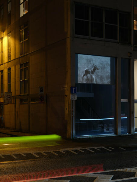 Daryna Mamasiur, Eyelashes and Sand Crystals, 2025, 4’48”, work in progress, excerpt, courtesy of the artist