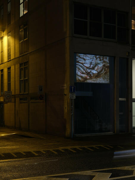 Noor Abed, Penelope, 2014, 6’28”, 16mm film, courtesy of the artist