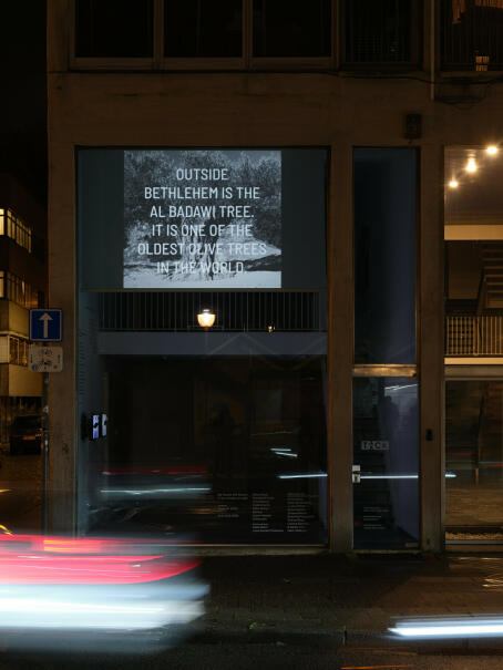 Adam Broomberg + Lena Holzer - History Not Progress