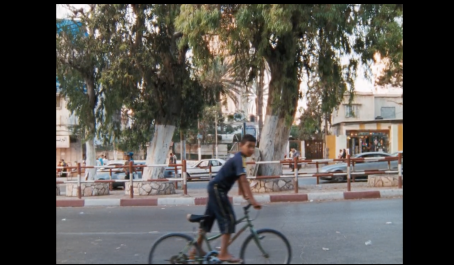 Rosalind Nashashibi - Electrical Gaza (2015)