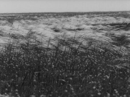 Daryna Mamasiur, Eyelashes and Sand Crystals, 2025, 4’48”, work in progress, excerpt, courtesy of the artist