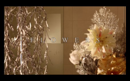 Jonathan Paepens - FLOWERS - 2015 - HD video - 4' 45'