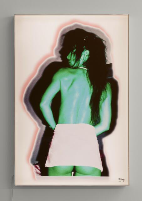 Liliane Vertessen - Inside out - 2007 - Print on lightbox - 112 x 75 x 7 cm