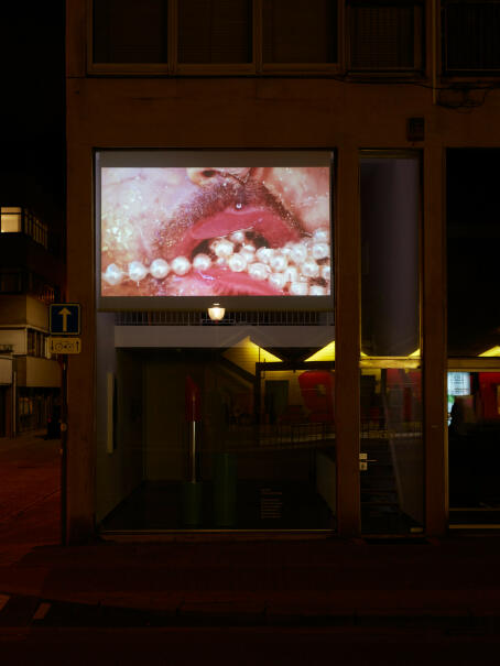 Marilyn Minter - Thirsty - 2022 - HD Digital Video Duration 5:46, Edition 5 + 2 APs - Courtesy the artists and LGDR. © Marilyn Minter - Installation view at TICK TACK