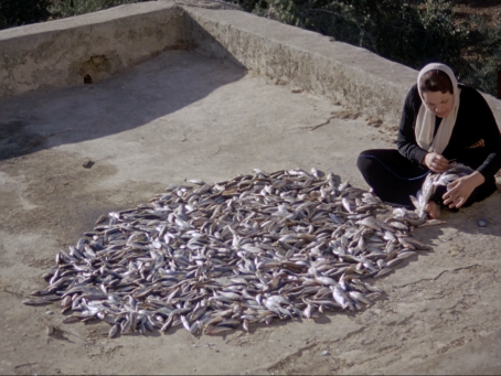 Noor Abed, Penelope, 2014, 6’28”, 16mm film, courtesy of the artist
