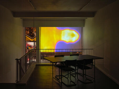 Sara Sadik, Zehefology, 2023, video installation, 17’ 15’’, 1 of 5 + 2 AP, courtesy of the artist and Crèvecœur, Paris / TICK TACK