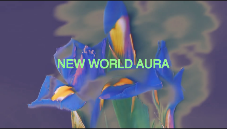 Signe Pierce - NEW WORLD AURA - 2024 - Video Loop - 5'31"