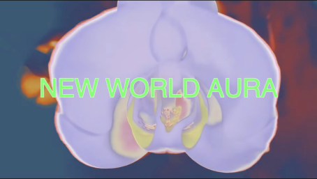 Signe Pierce - NEW WORLD AURA - 2024 - Video Loop - 5'31"