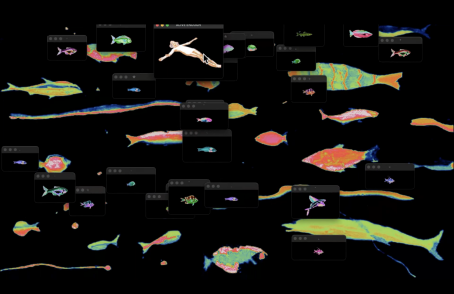 Chia Amisola - desktops - 2026 - Custom browser-based software, performance - Variable duration