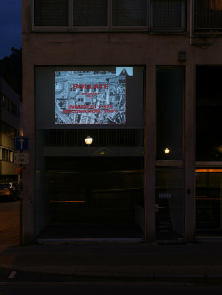 Sofia Albrigo, X>61K - Taxonomy of a closed system, 2025, Video, sound