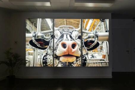 moo.01 by Kevin Abosch, SYNTHETIC PROGRAM Installation view, November 2024