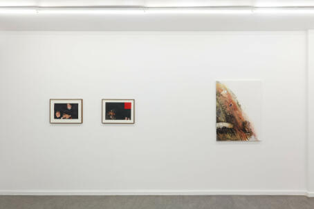The Ulterior Narrative - Installation view at TICK TACK - Darja Bajagic, Suzanne McClelland